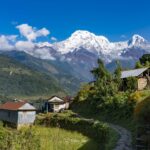 2024-10 - Népal - J04 - De Tolka à Ghandruk - 062